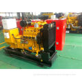 100kva Water Cooled Biogas Generator, 3 Phase 50hz 1500rpm Gas Backup Generator Overload Protection